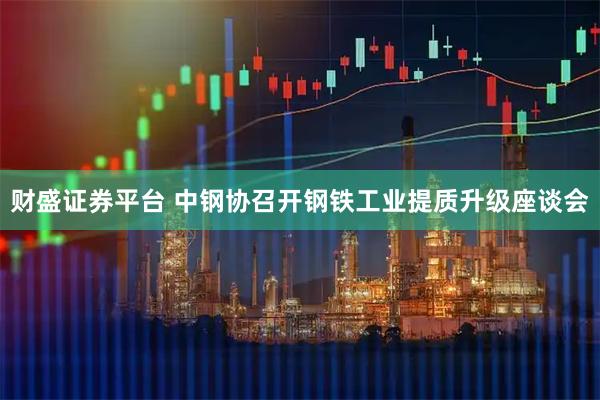 财盛证券平台 中钢协召开钢铁工业提质升级座谈会