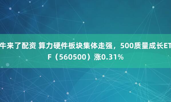 牛来了配资 算力硬件板块集体走强，500质量成长ETF（560500）涨0.31%