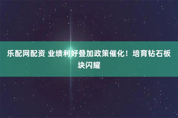 乐配网配资 业绩利好叠加政策催化！培育钻石板块闪耀