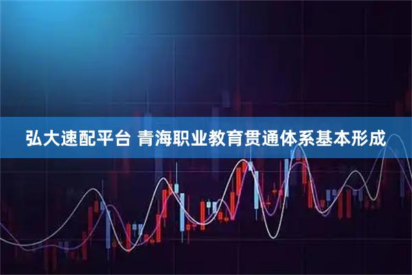 弘大速配平台 青海职业教育贯通体系基本形成