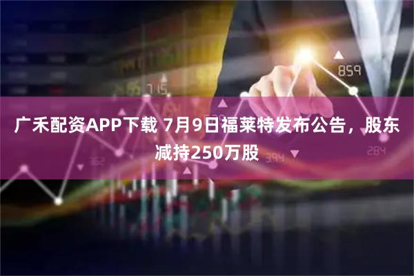 广禾配资APP下载 7月9日福莱特发布公告，股东减持250万股