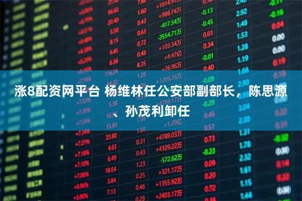 涨8配资网平台 杨维林任公安部副部长，陈思源、孙茂利卸任