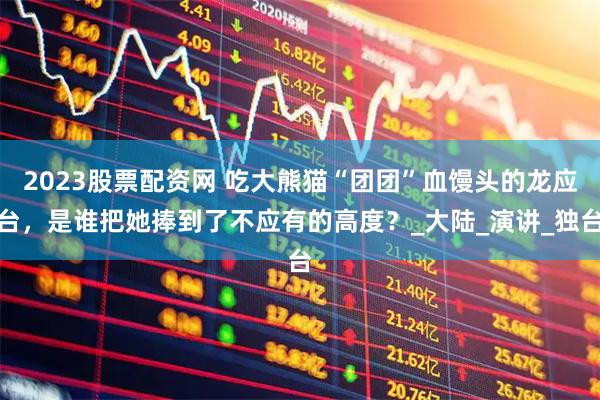 2023股票配资网 吃大熊猫“团团”血馒头的龙应台，是谁把她捧到了不应有的高度？_大陆_演讲_独台