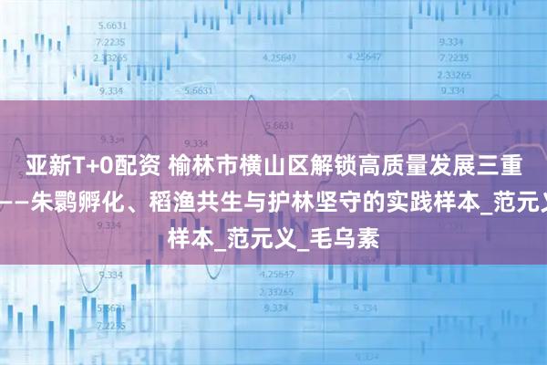 亚新T+0配资 榆林市横山区解锁高质量发展三重生态密码——朱鹮孵化、稻渔共生与护林坚守的实践样本_范元义_毛乌素