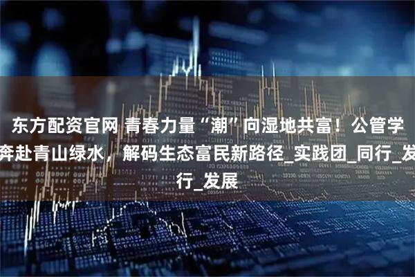 东方配资官网 青春力量“潮”向湿地共富！公管学子奔赴青山绿水，解码生态富民新路径_实践团_同行_发展