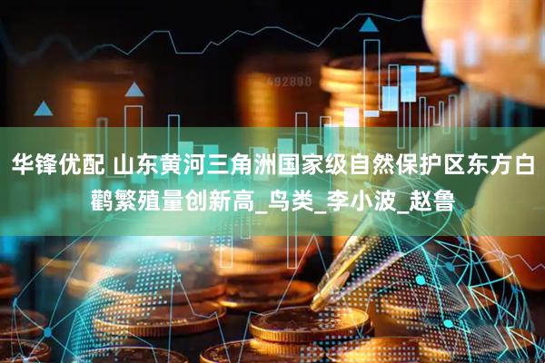 华锋优配 山东黄河三角洲国家级自然保护区东方白鹳繁殖量创新高_鸟类_李小波_赵鲁