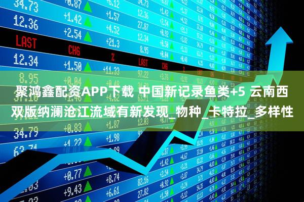 聚鸿鑫配资APP下载 中国新记录鱼类+5 云南西双版纳澜沧江流域有新发现_物种_卡特拉_多样性