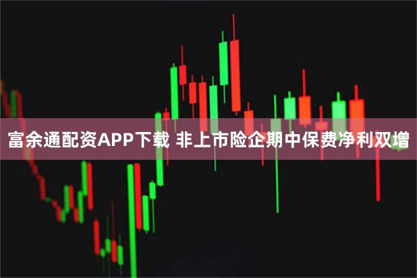 富余通配资APP下载 非上市险企期中保费净利双增